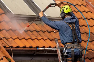 Démoussage et hydrofuge de toiture à Argenton